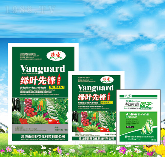 綠葉先鋒1+1-植圣-碧野農化