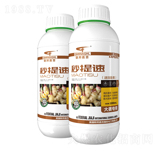 大姜專用速效膨果肥-秒提速-聯(lián)邦嘉吉