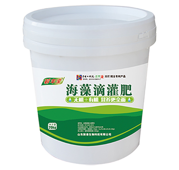 ����ι��-�¸�����