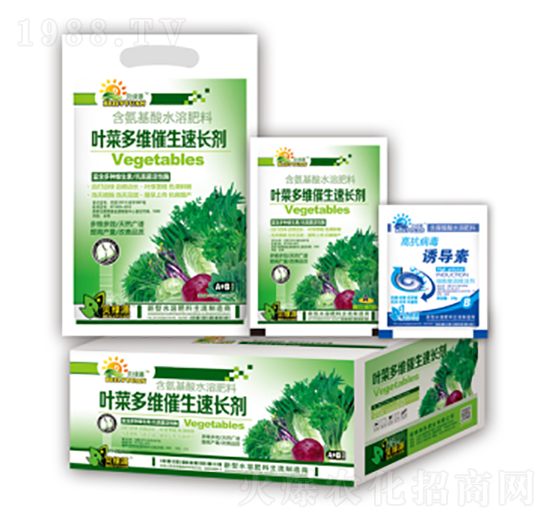 葉菜多維催生速長劑-潤澤肥業(yè)