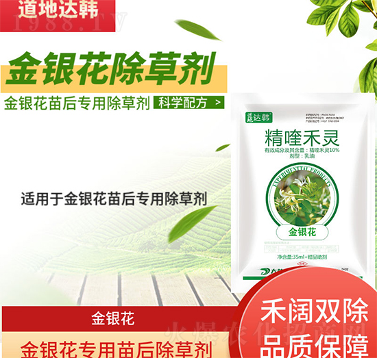 ���y�����݄�-���y�����-���y����(zhu��n)��-���n