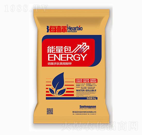 ���������������S�����-����-�T�S�@