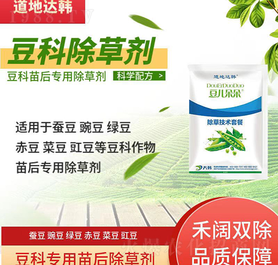 ���Ƴ��݄�-�������-���ƌ���-�������-���n