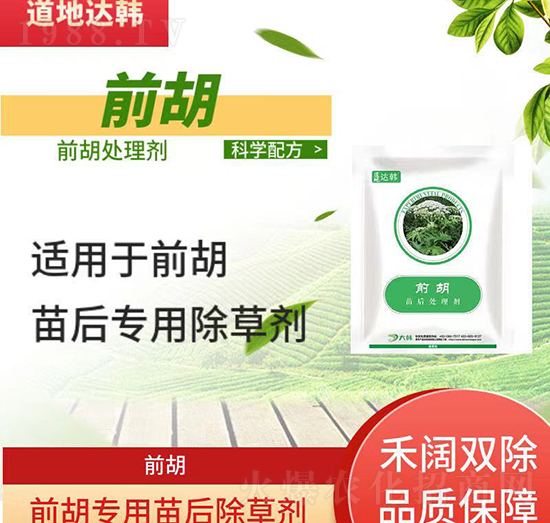 ǰ�����݄�-ǰ�����-ǰ����(zhu��n)��-���n