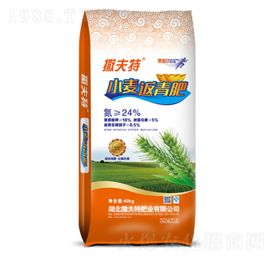 С�������-������