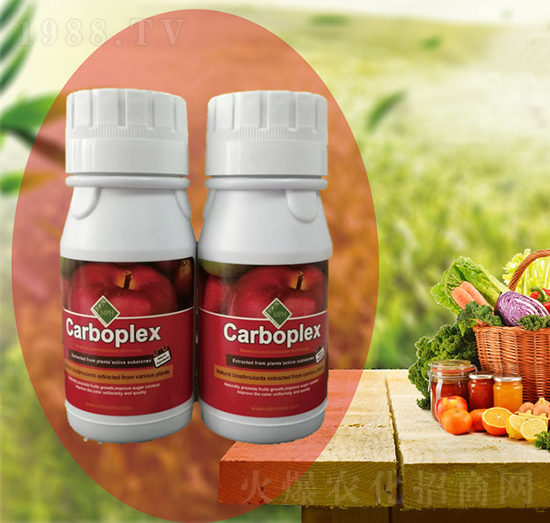 ˼��-���T�r(n��ng)�I(y��)