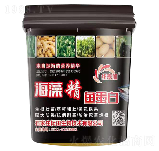 ���徫�~����-�~����-��������