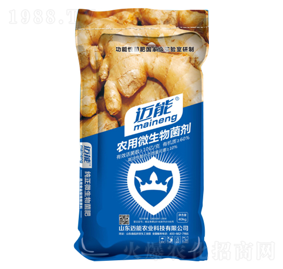 大姜專用農(nóng)用微生物菌劑-邁能農(nóng)業(yè)