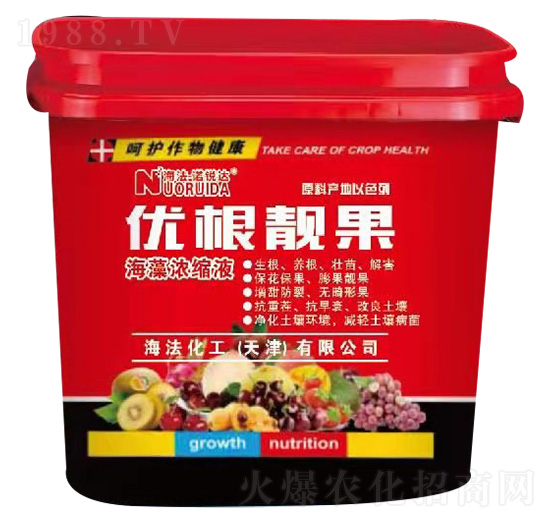 �����sҺ-��(y��u)���n��-��������