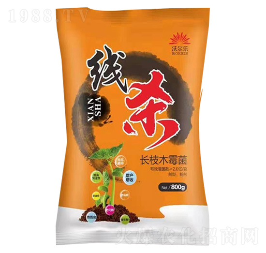 �L(zh��ng)֦ľù��-��(xi��n)��-�֠���(l��)