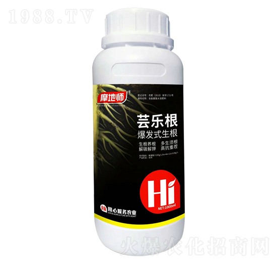 ���l(f��)ʽ���� �|���� Ħ�؎�