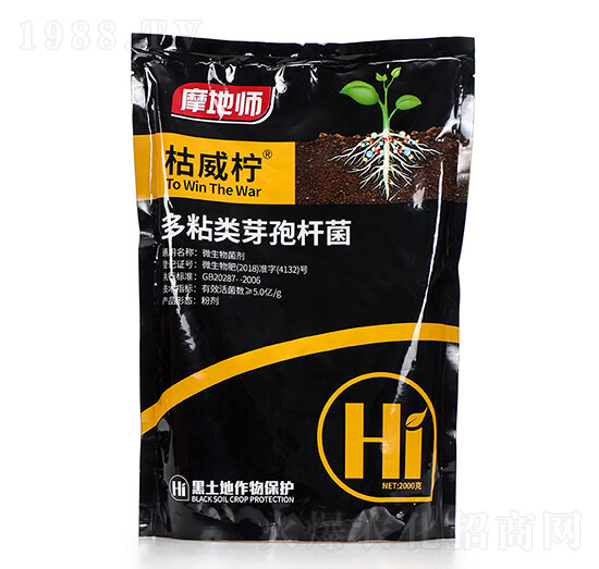 ��ճ�(l��i)ѿ�ߗU�� ������ Ħ�؎�