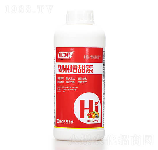 �n�������� Ħ�؎�