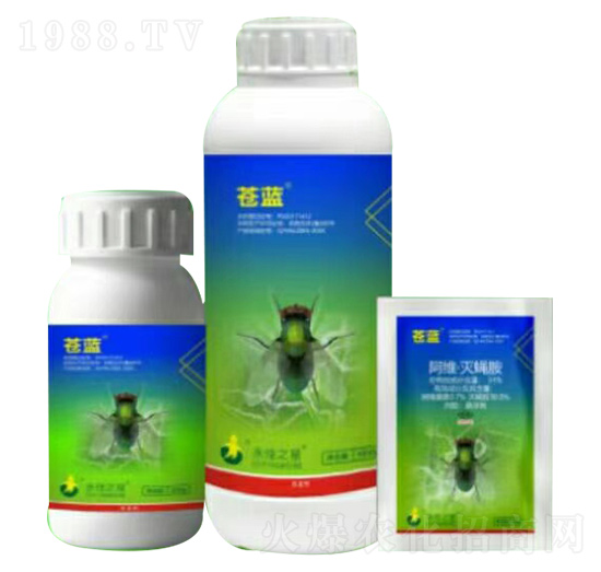 ���S����ω�� �n�{ ����֮��