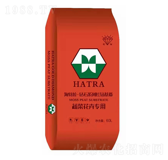 �߲˻��܌��� �@ʯϵ�мt�@���| ������