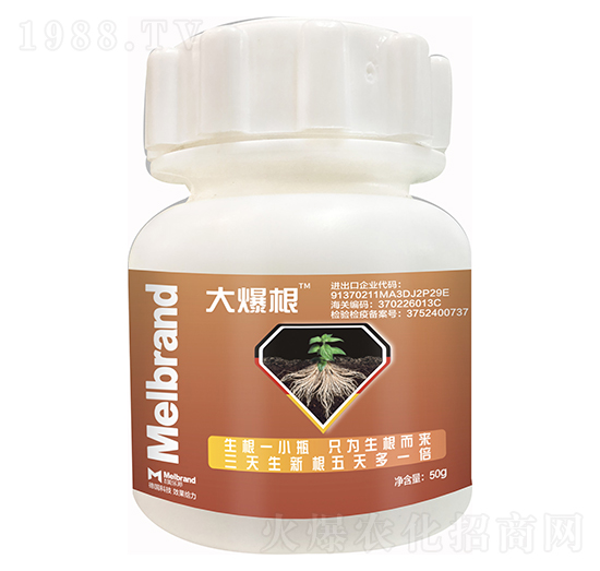 �󱬸� ����(l��)��