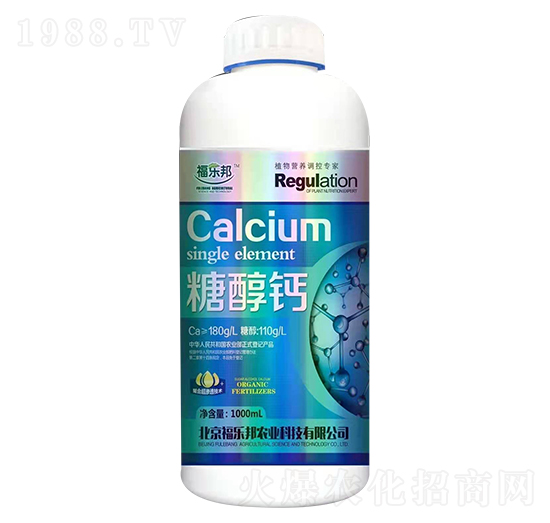 �Ǵ��} ������