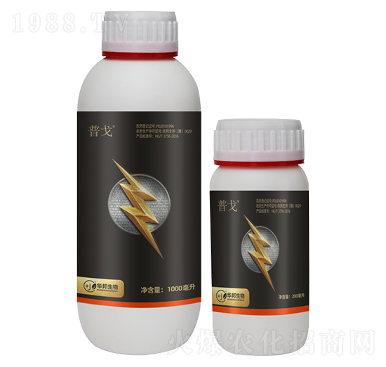 5%��x��-�ո�-�S�՘�