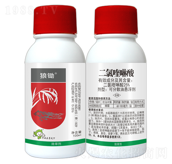 25%���������-���z-�S�՘�(l��)