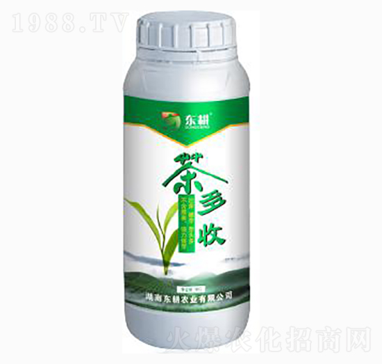 ���ݮ-�|���r(n��ng)�I(y��)