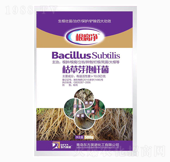 �ݲ�ѿ�ߗU��-������-�_��(y��u)�r(n��ng)�I(y��)