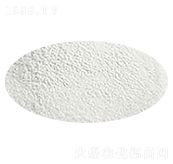 6-�S��������-���A