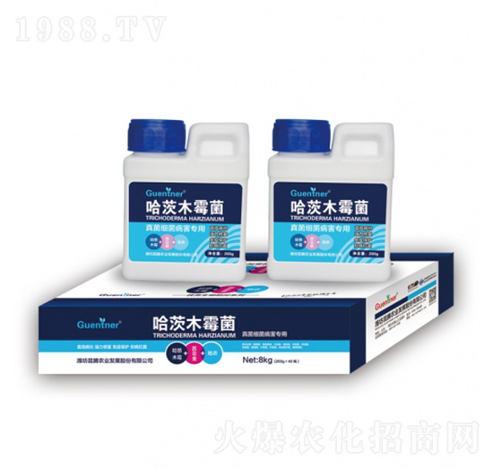 ��������������ù���ľù��-���v�r�I(y��)