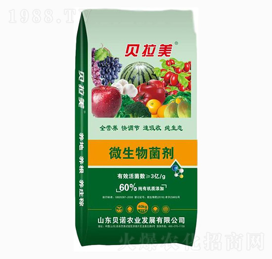 ΢�������-ؐ����-ؐ�Z