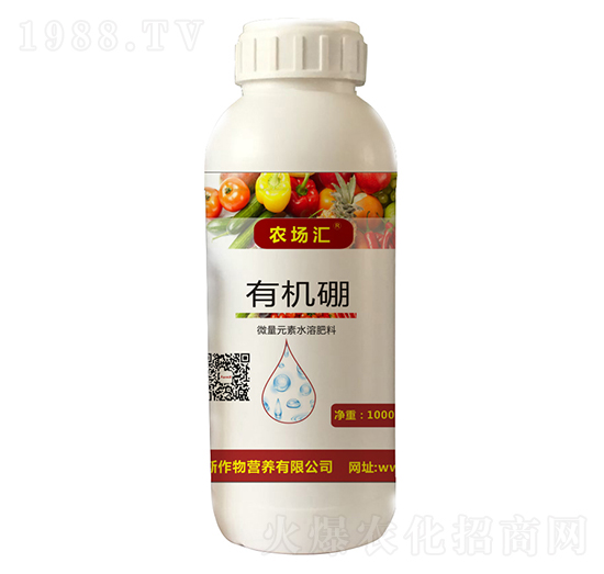 �ЙC��-�r(n��ng)���R-������˹