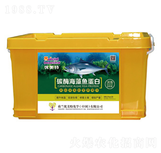 ̼ø�����~����-��(y��u)����-����r(n��ng)�I(y��)