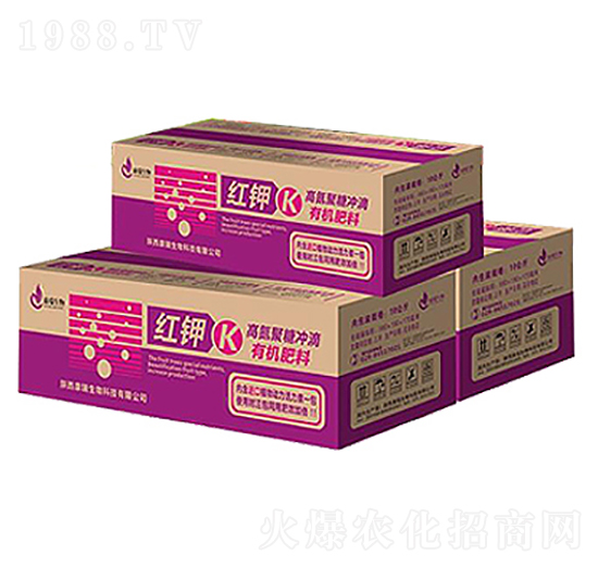 �t�-��������