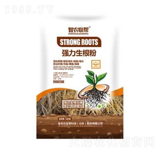 ����������-���_