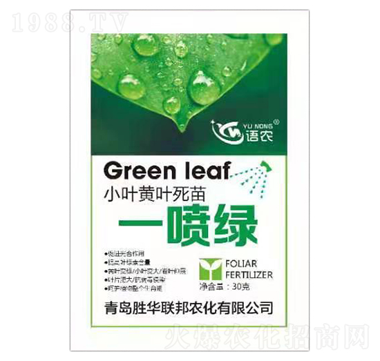 小葉黃葉死苗一噴綠-語(yǔ)農(nóng)-勝華聯(lián)邦