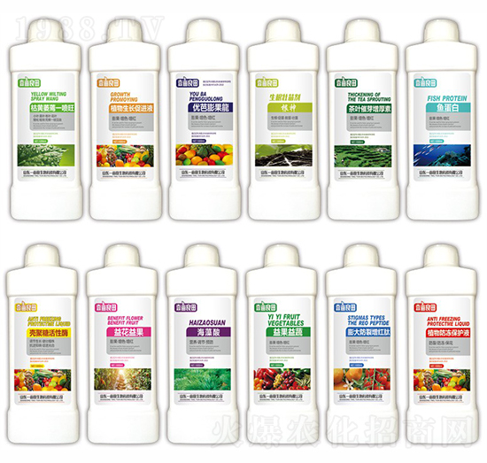 ���ػ�����ԭ��-Ҽ������