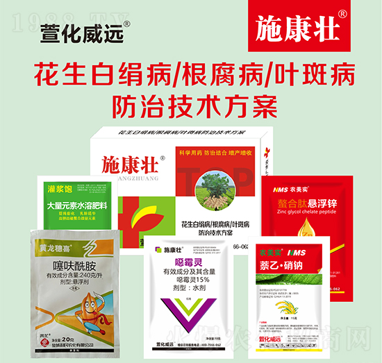 花生白絹病根腐病葉斑病防治技術方案-施康壯-萱化威遠