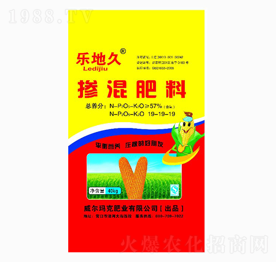 �������19-19-19-��(l��)�ؾ�-��������