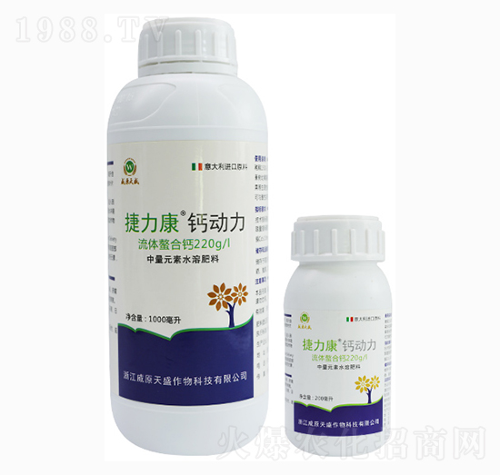 �}����-������-��ԭ��ʢ