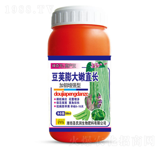 ���v�����ֱ�L(zh��ng)-ʥ�ϝ�(r��n)