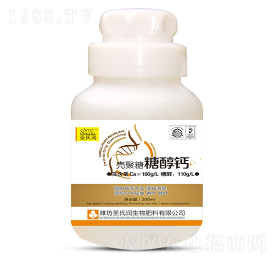 �������Ǵ��}-ʥ�ϝ�