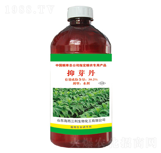 30.2%��ѿ��-��������