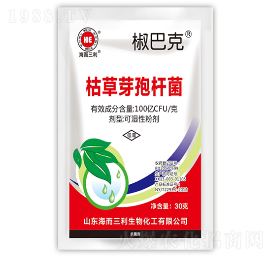 �ݲ�ѿ�ߗU��-���Ϳ�-��������