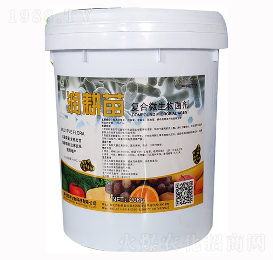 20L��(f��)��΢�������-������-��������