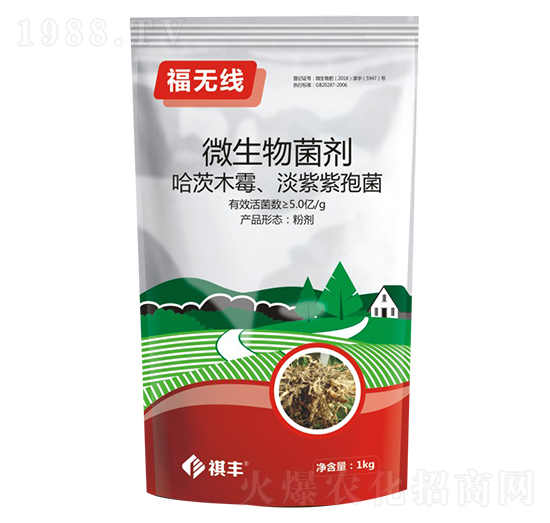 ΢�������-���o��-���S�r�I(y��)