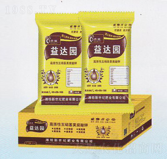 �S�����-���_�@-�����o�ʘI(y��)