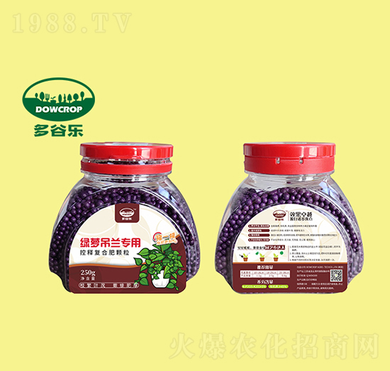 綠籮吊蘭專用肥-多谷樂(lè)