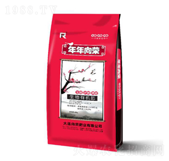 ΢�������-������s-��s�ʘI(y��)