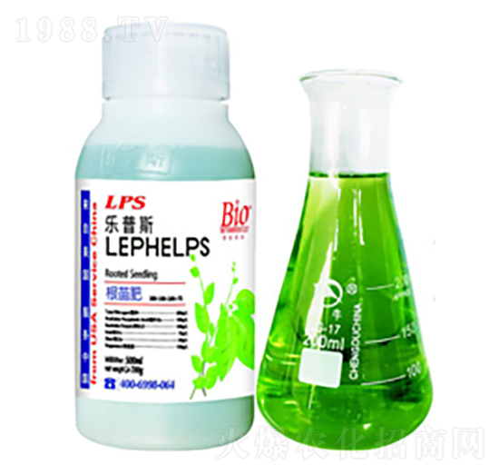 ����˹�����-�Θ��r(n��ng)�I(y��)