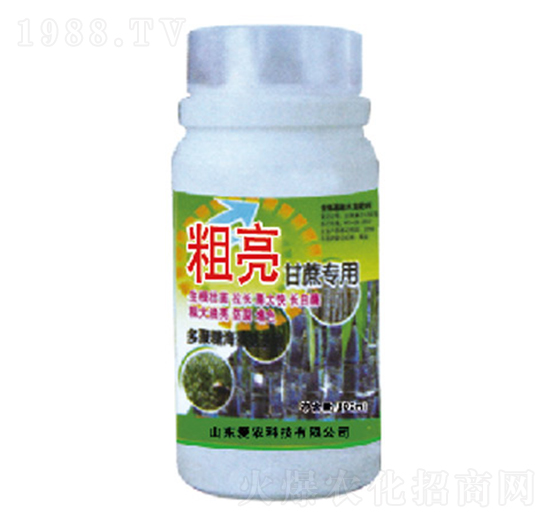 �������ጣ(zhu��n)��-�и�����