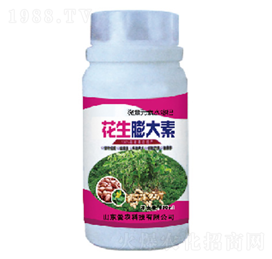 ���������-�и�����