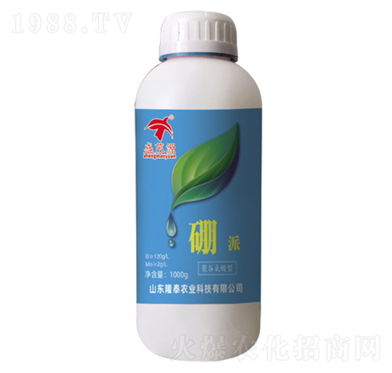 ����-¡̩�r(n��ng)�I(y��)